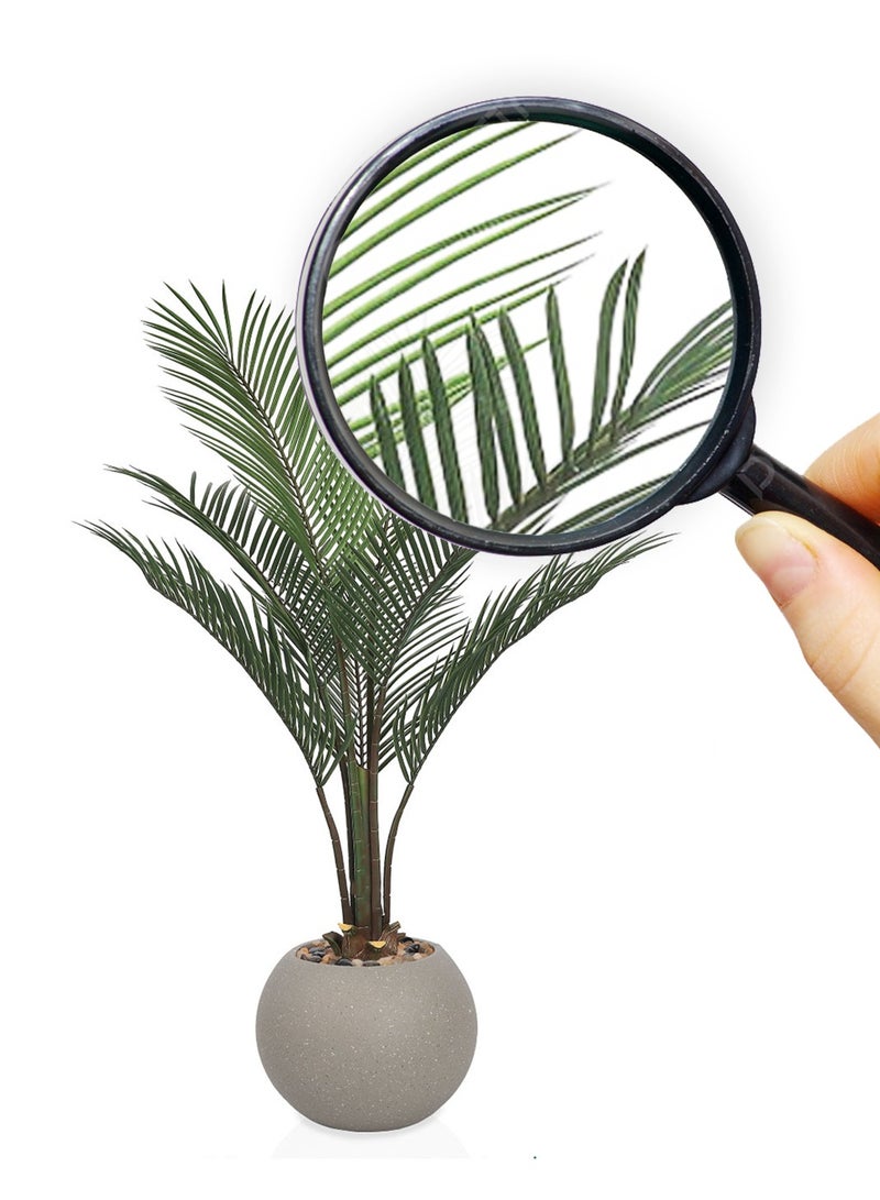 تالا شجرة أريكا صناعية 7 فروع بارتفاع 140 سم – أوراق نخيلية كثيفة بتصميم واقعي مع حوض بلاستيك أنيق للديكور الداخلي - Image 2